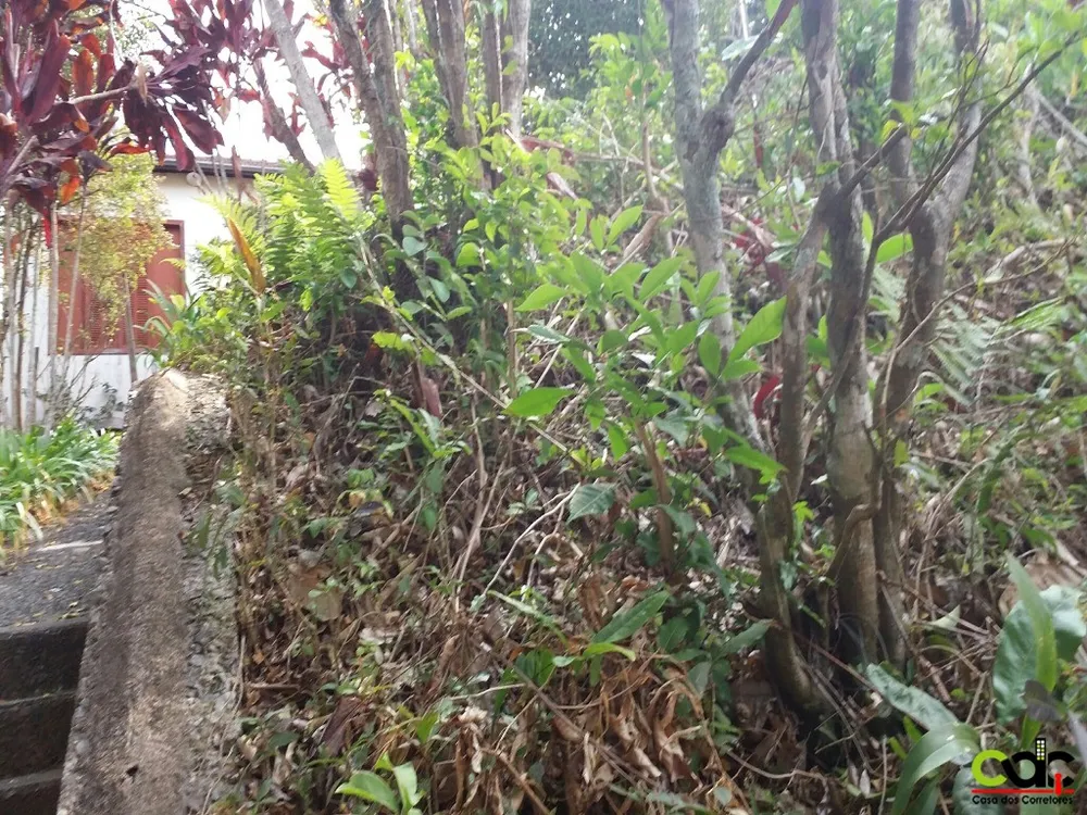 Casa, 4 quartos, 300 m² - Foto 20