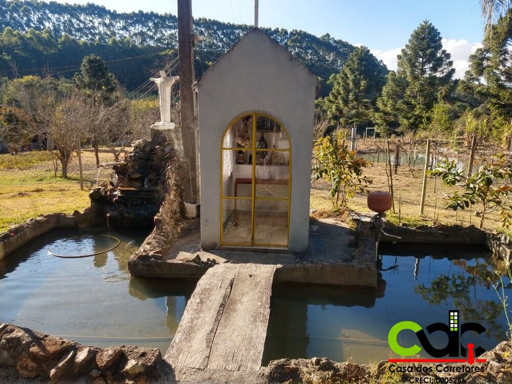 Chácara, 5000 m² - Foto 4