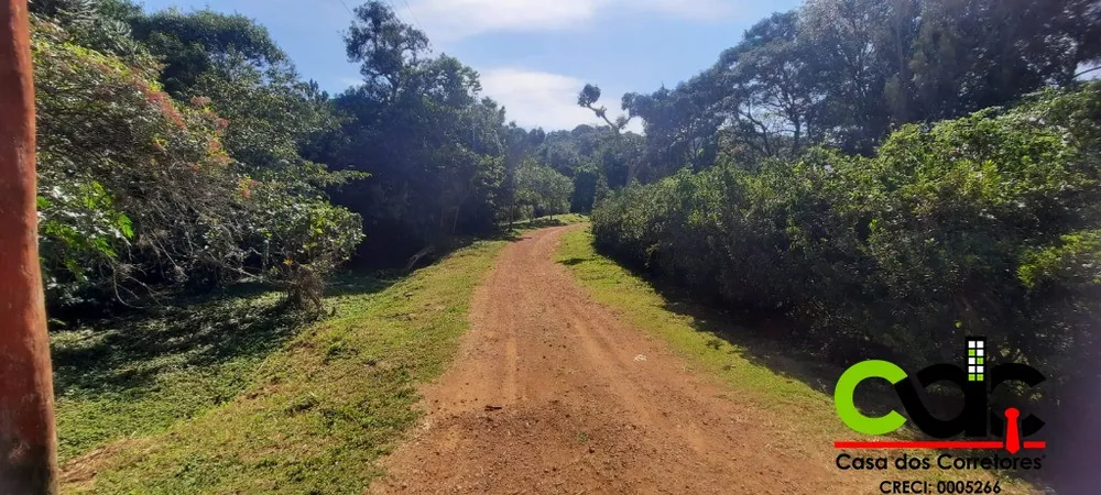 Terreno, 2 hectares - Foto 8