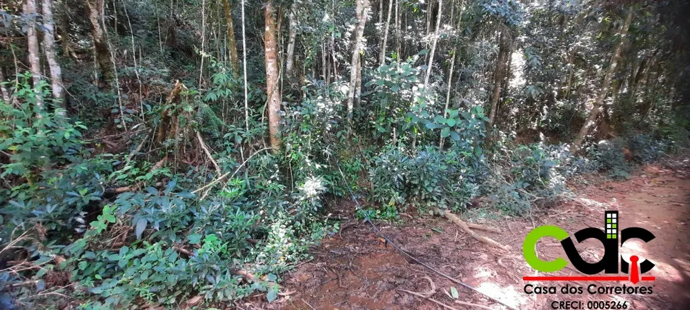 Terreno, 2 hectares - Foto 10