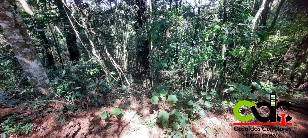 Terreno, 2 hectares - Foto 12