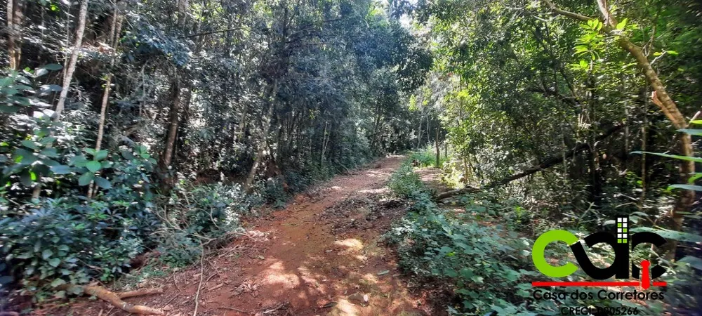 Terreno, 2 hectares - Foto 9