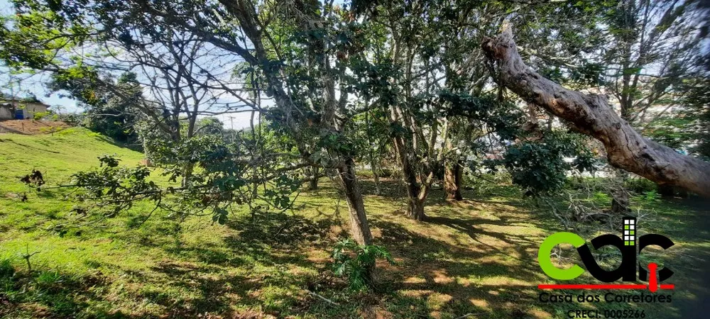 Terreno, 2 hectares - Foto 4