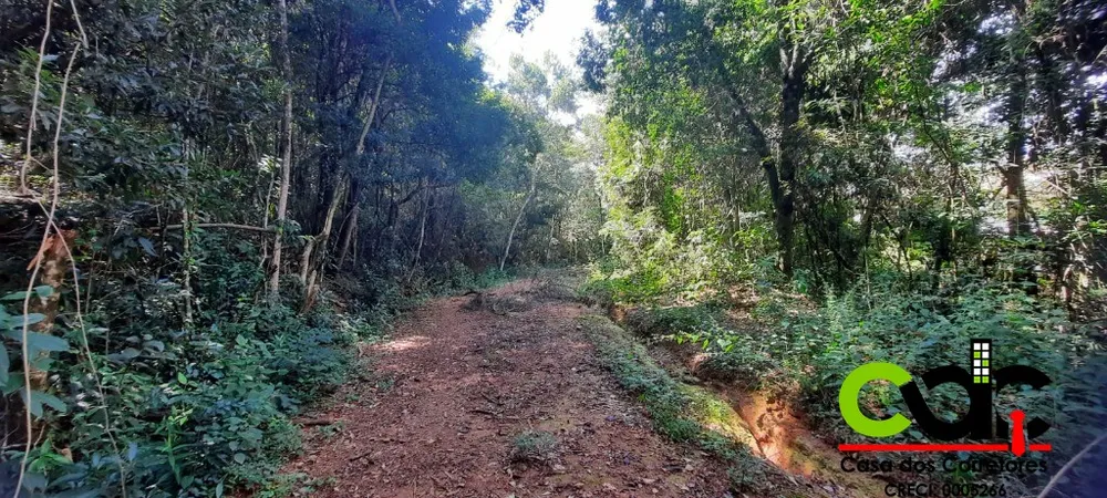 Terreno, 2 hectares - Foto 11
