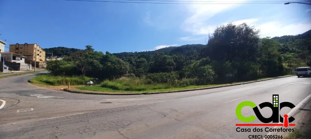 Terreno, 2 hectares - Foto 7