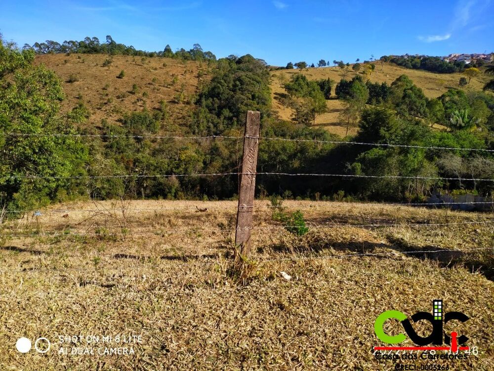 Chácara, 4000 m² - Foto 2