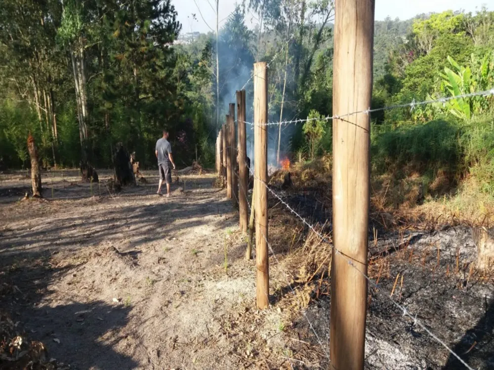 Terreno, 600 m² - Foto 6