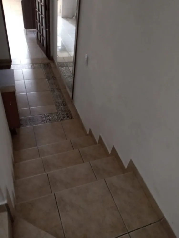 Casa, 3 quartos, 600 m² - Foto 6