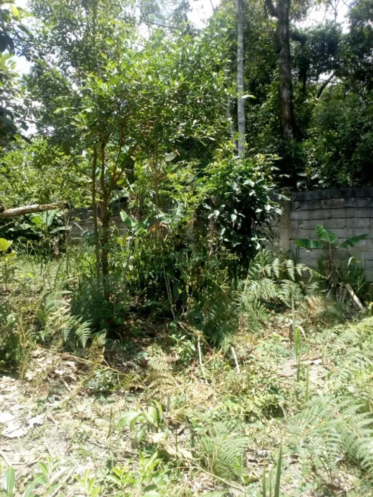 Chácara, 1 quarto - Foto 5