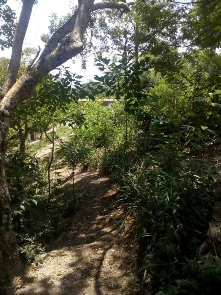 Chácara, 1 quarto - Foto 2
