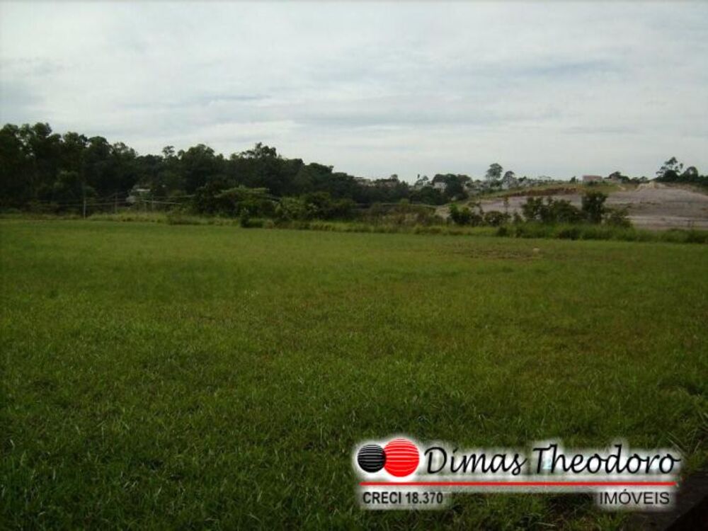 Depósito-Galpão, 5000 m² - Foto 2