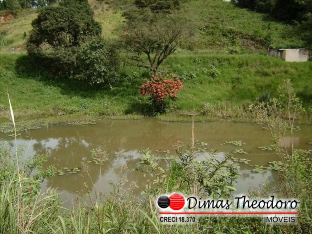 Depósito-Galpão, 5000 m² - Foto 8