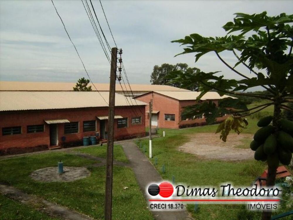 Depósito-Galpão, 5000 m² - Foto 6