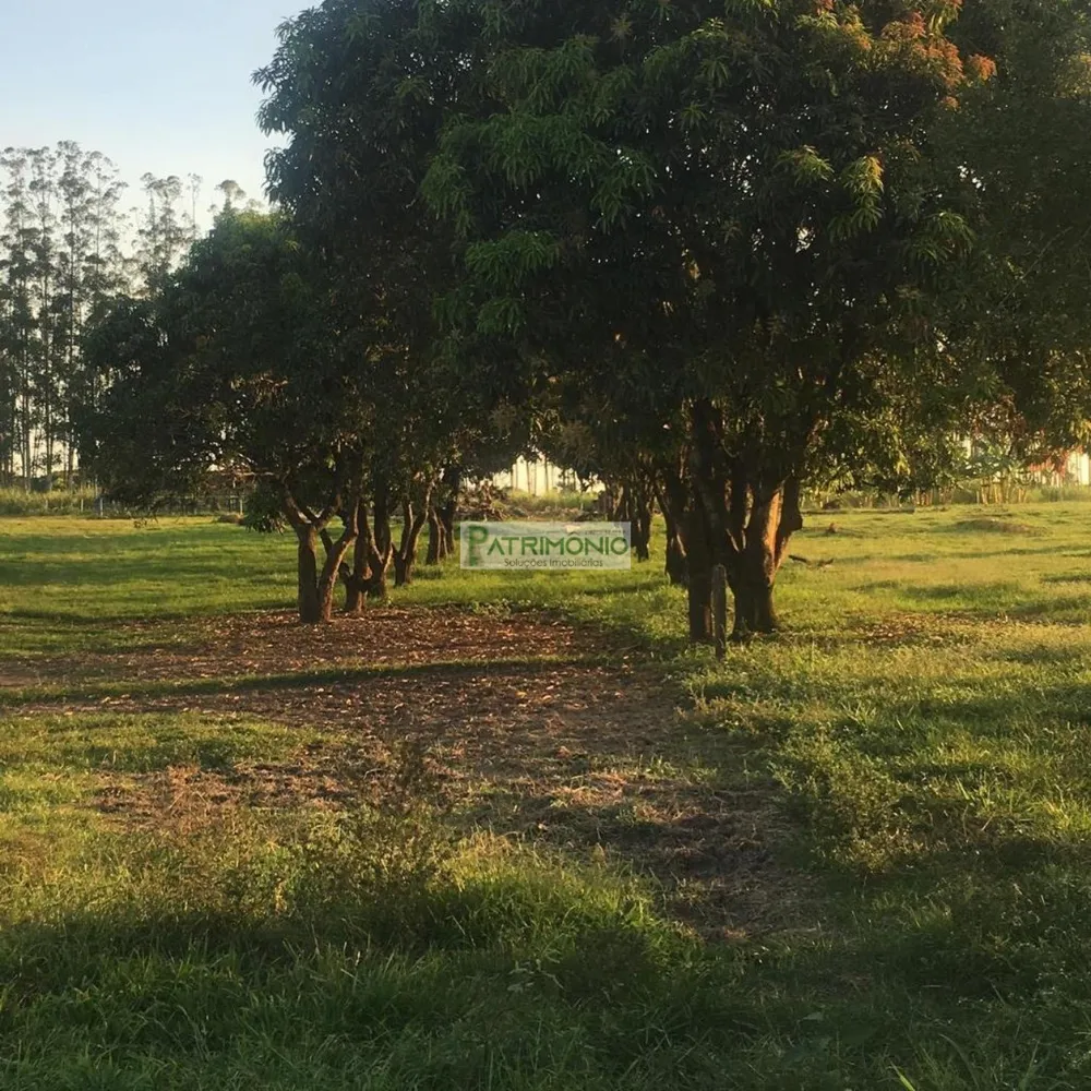 Fazenda, 4 hectares - Foto 19