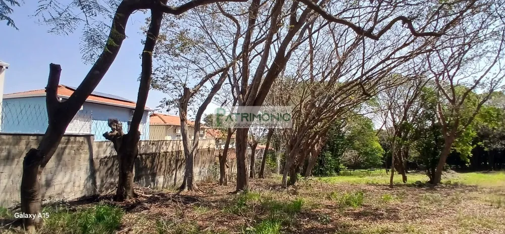 Terreno - Foto 3