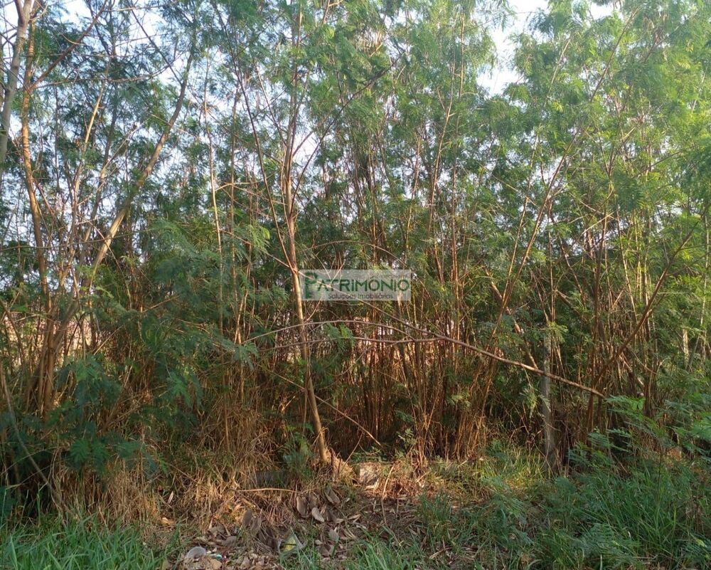 Loteamento e Condomínio, 274 m² - Foto 1