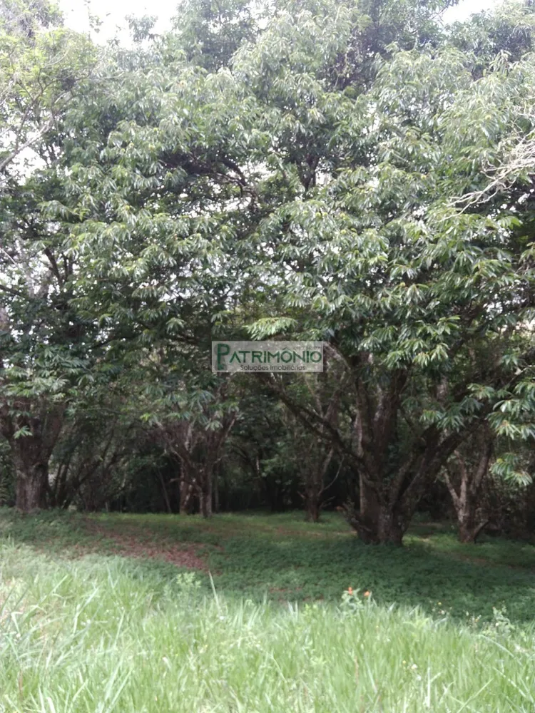 Terreno, 1200 m² - Foto 4