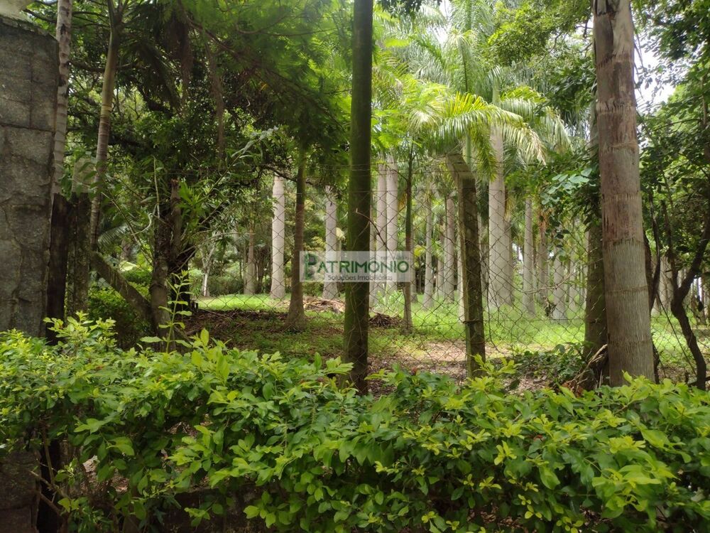 Sítio, 3 quartos - Foto 1