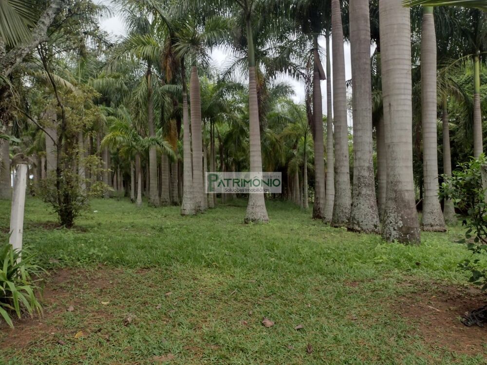 Sítio, 3 quartos - Foto 20