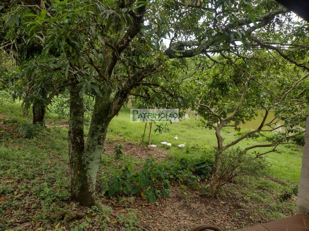 Sítio, 3 quartos - Foto 21