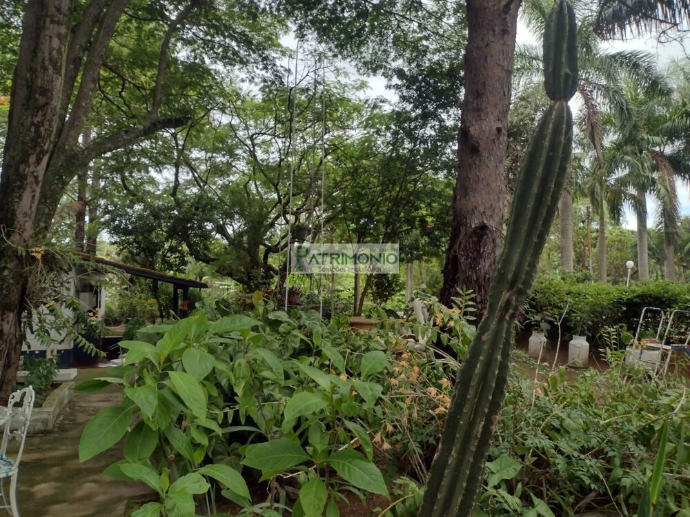 Sítio, 3 quartos - Foto 12