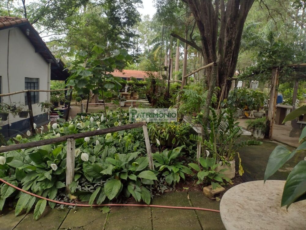 Sítio, 3 quartos - Foto 15