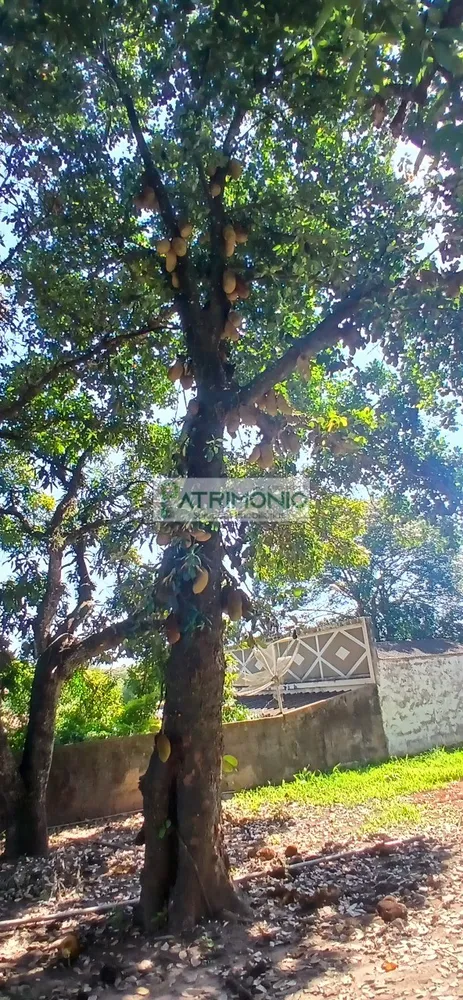 Chácara, 2 quartos - Foto 3