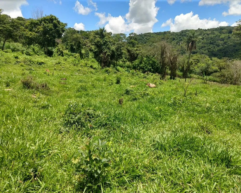 Sítio, 3 quartos, 11 hectares - Foto 6