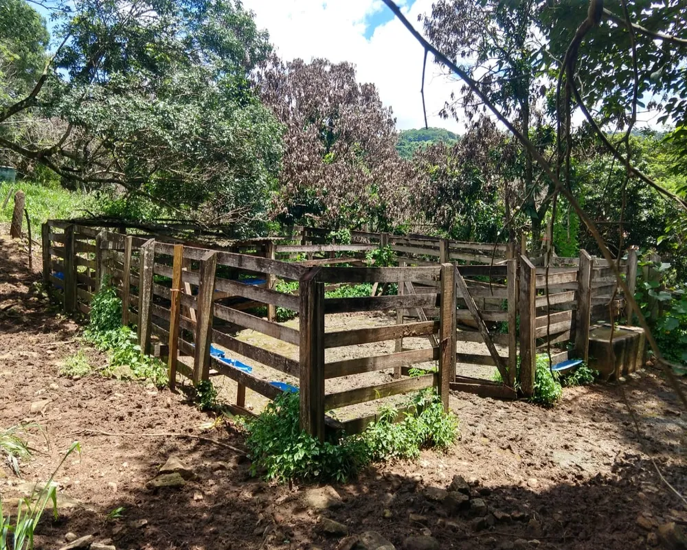 Sítio, 3 quartos, 11 hectares - Foto 14