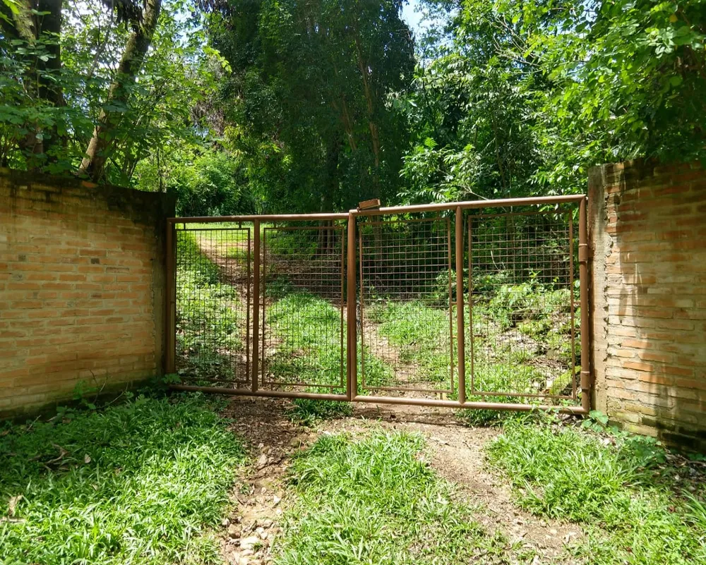 Sítio, 3 quartos, 11 hectares - Foto 4