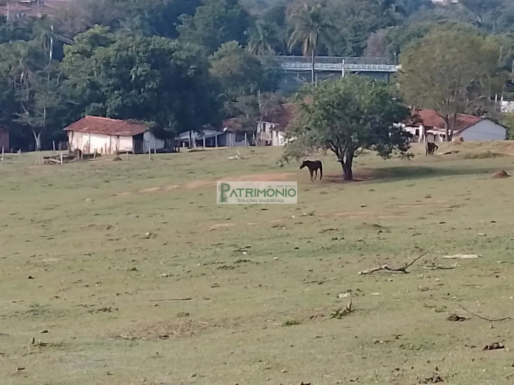 Terreno - Foto 4