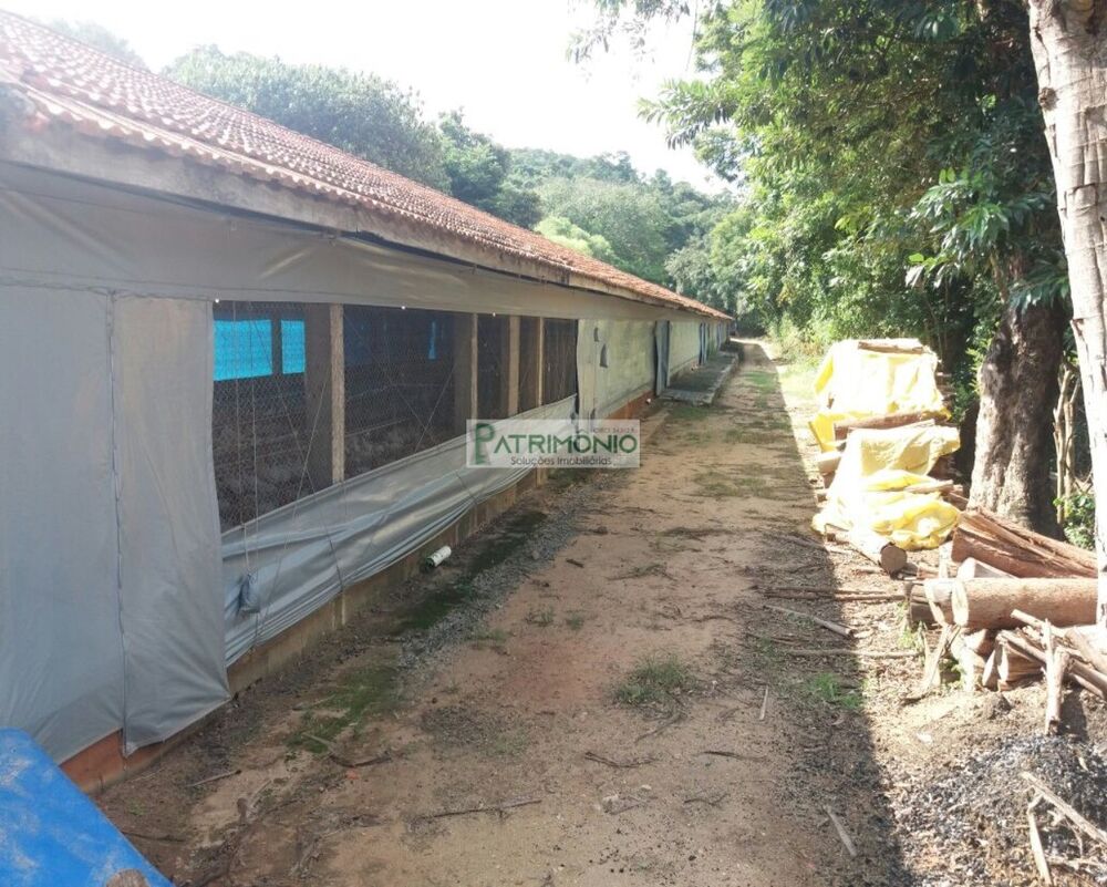 Sítio, 2 quartos, 5 hectares - Foto 13