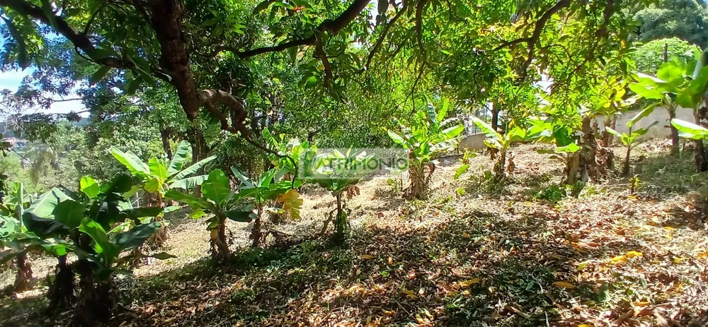 Chácara, 2 quartos, 120 m² - Foto 11