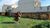 Terreno, 700 m² - Foto 2