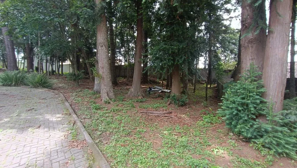Terreno, 5898 m² - Foto 11