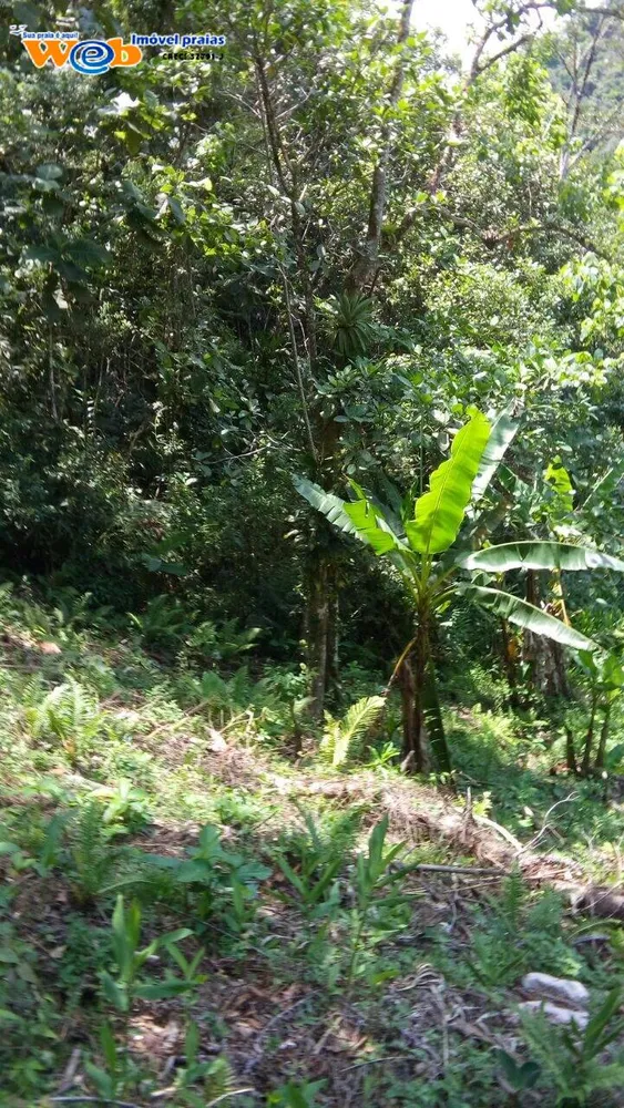 Terreno, 10 hectares - Foto 13