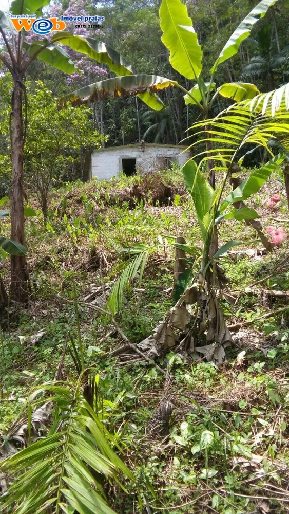 Terreno, 10 hectares - Foto 8