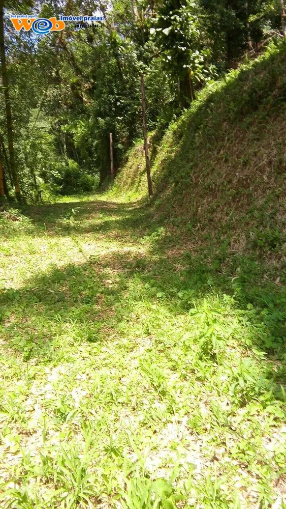 Terreno, 10 hectares - Foto 2