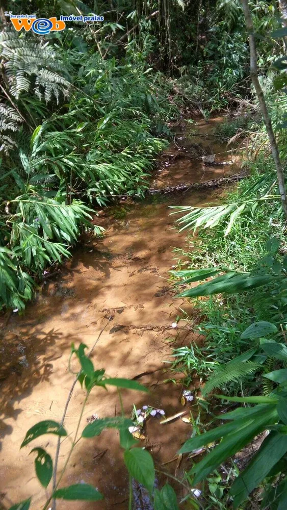 Terreno, 10 hectares - Foto 4