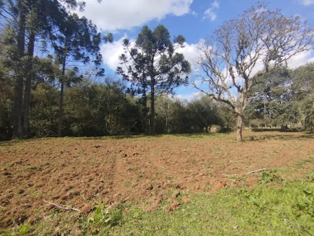 Chácara, 6 quartos, 8470 m² - Foto 5