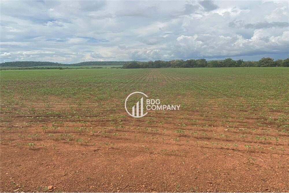 Fazenda à venda, 10700000M2 - Foto 15
