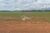 Fazenda-Sítio-Chácara, 1070 hectares - Foto 15