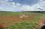 Fazenda, 1070 hectares - Foto 2