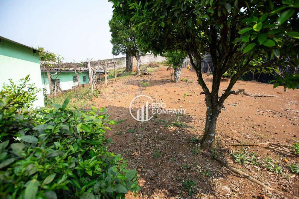 Chácara, 3 quartos, 1575 m² - Foto 4