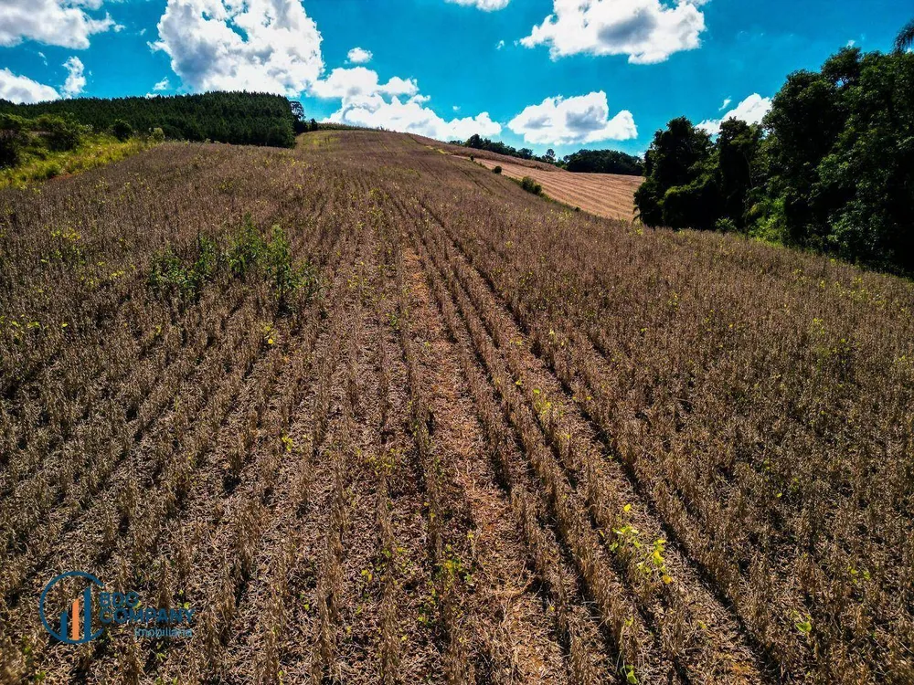 Terreno, 5 hectares - Foto 1