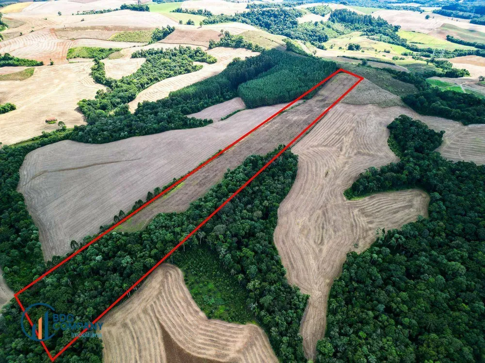 Terreno, 5 hectares - Foto 7