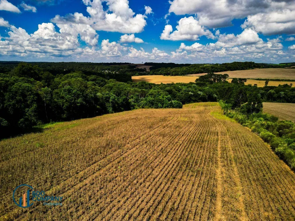 Terreno, 5 hectares - Foto 2