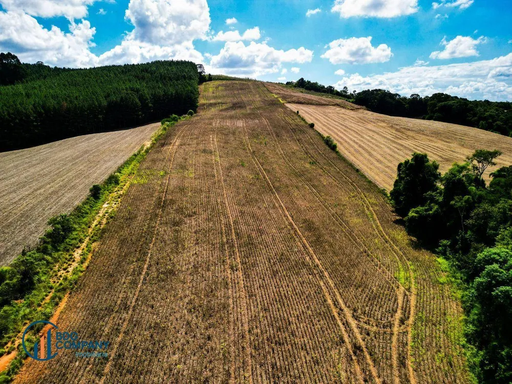 Terreno, 5 hectares - Foto 3