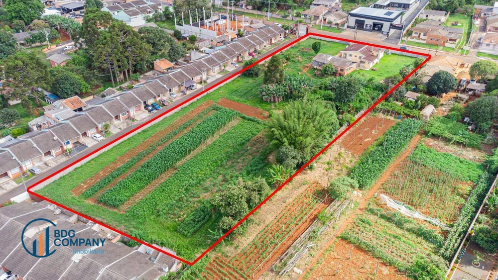 Terreno, 6264 m² - Foto 5