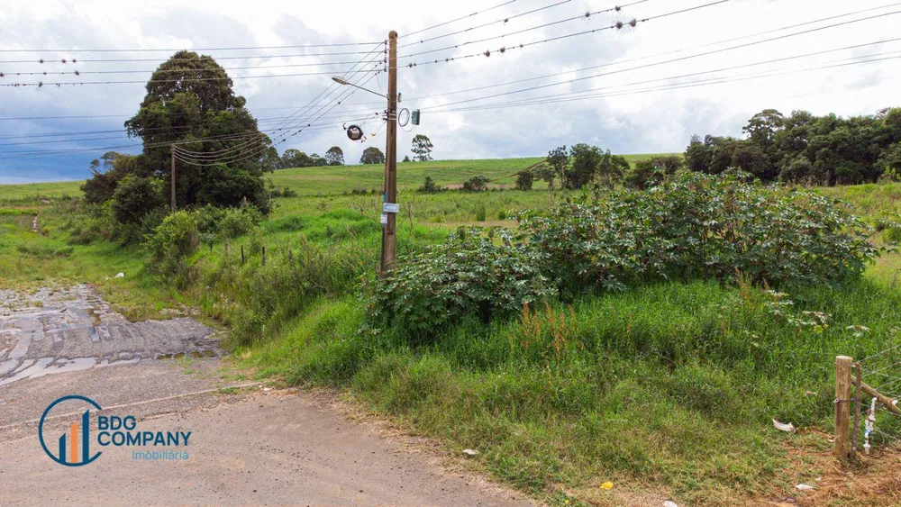 Terreno, 3 hectares - Foto 4